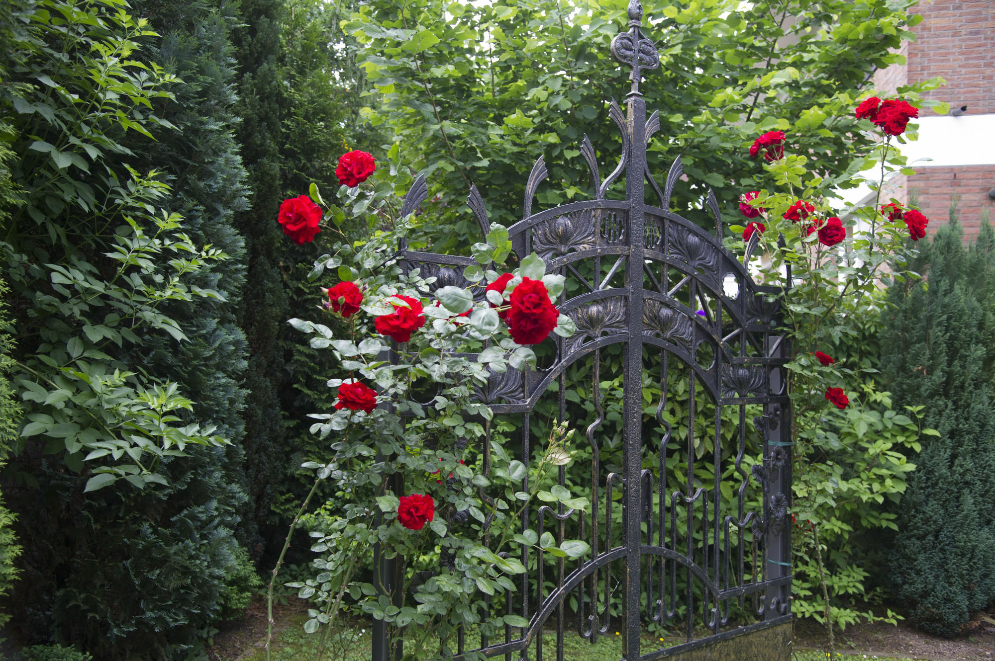 Boutiquehotel Dreesen - Villa Godesberg 波恩 外观 照片